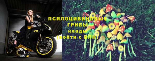 Альфа ПВП Баксан